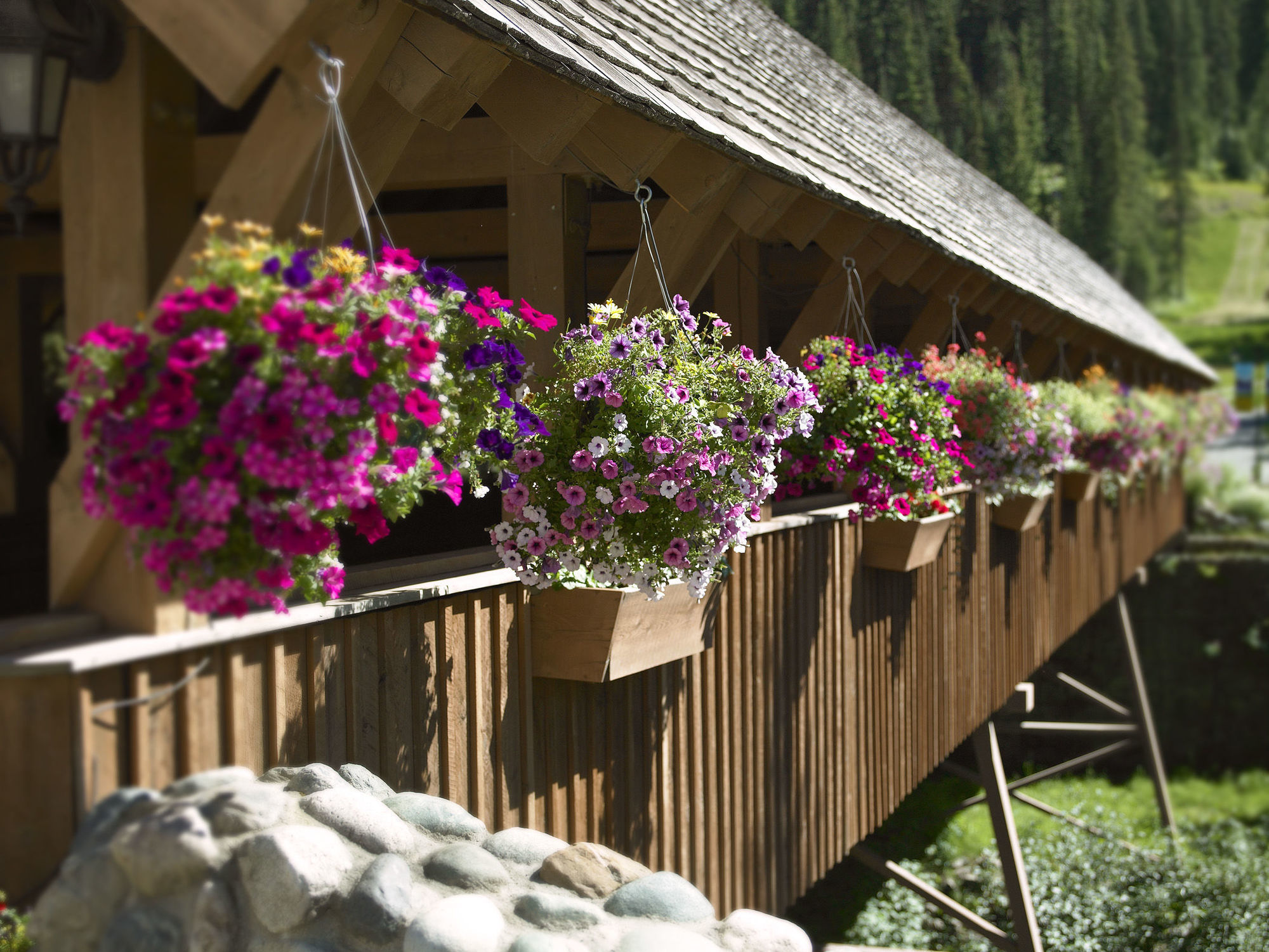 Sundance Lodge Sun Peaks Exterior photo